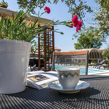 Grace Felice Villa Valbandon